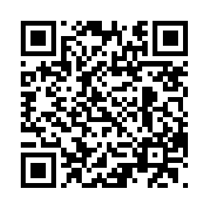 针对这几家企业做一个周密详实的调研二维码生成