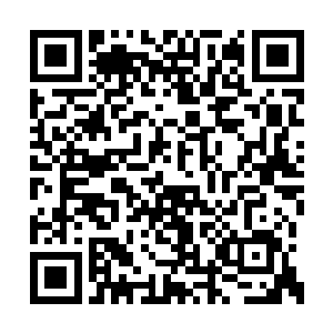 针筒笑眯眯的甩出了几根长针扎在了尸鬼的身上二维码生成
