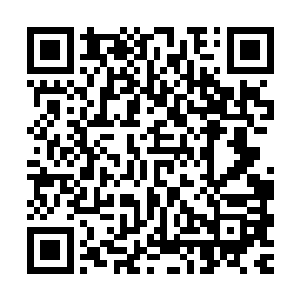 钓到的鱼在船上必须放到合适的温度存贮才能获得最佳的保效果二维码生成
