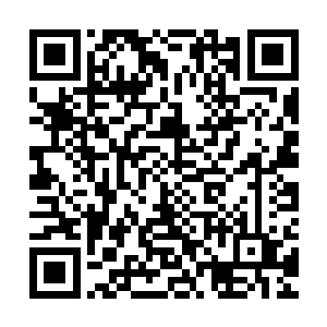 钟家大老爷夫妻瞧见两位老人家瞧见孙儿们面上缓和下来的神色二维码生成