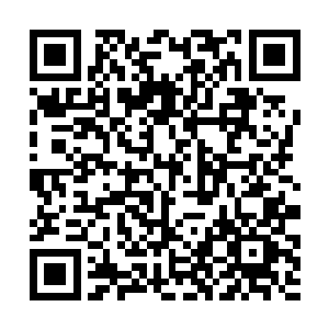 钟池春终是抱着晨哥儿去陪钟家三老爷夫妻一块用餐二维码生成