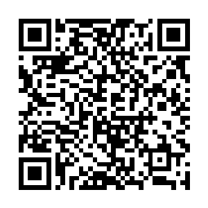 钱长青一声长啸乃是运用了一门震慑人心的法门吼出二维码生成