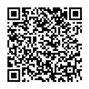 钻心的疼让平时凶狠残暴几乎无视皮肉外伤的魔神分身也不得不大叫二维码生成
