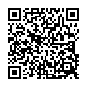 铁金山等众多学子满身浴血的在城门口阻挡凶兽的大肆冲入二维码生成