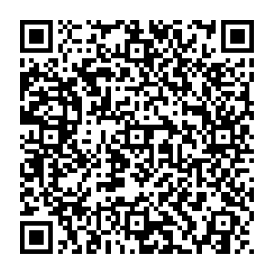 铁链男子沉默道　也许是意识到了自己的失败　虽然仅仅只是一招　但就是一招　却已经奠定了成功与失败二维码生成