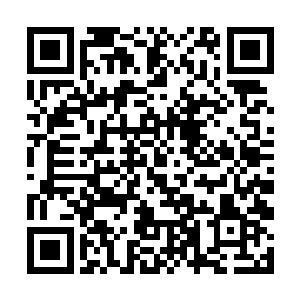银狼和其他公司的高层目前正在利比亚进行商务谈判二维码生成