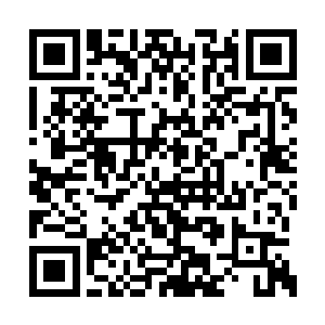 锦凡就拿着一袋血跟一个支架回到了赵纯良身边二维码生成