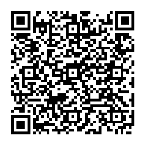 锻造脉络用锤法使剑胚自然在内部形成脉络又要比用仙诀在液体内部构筑脉络再胜一筹二维码生成