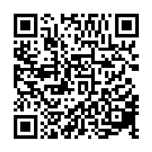 镇乙殿以外的势力未得允许如果再敢擅自插手镇乙殿的事情二维码生成