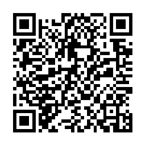 镇长雪如楼虽然用在他们身上的并不是真正的收宠物的方式二维码生成