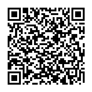 镜头也突兀地从虚焦再度回到了聚焦状态――在司机们的骂声和喇叭声中二维码生成