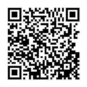 镜头近距离的平拍着一只正在透明小培养箱内走动的小白鼠二维码生成
