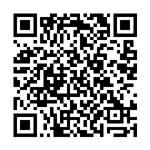 长丰洞洞主熊啸率人把整个浮光洞周围给巡视一遍后二维码生成