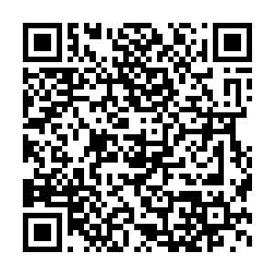 长出来三四条手臂似癞蛤蟆和章鱼的合体扯开胸腔血淋淋的爬出来二维码生成