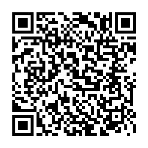 长尾寡妇鸟对他们的诱惑和元青花对喜爱瓷器收藏的人的诱惑程度是一样的二维码生成