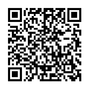 长得就像是展开的线缆一般又臭又黏的顺着我的脖子缠绕而上二维码生成