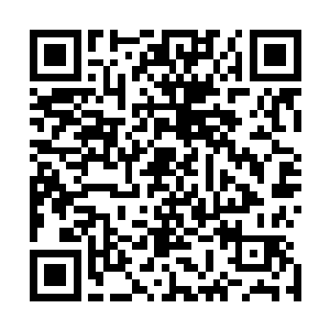 长期抽人无时无刻不泛着血腥味的鞭身……他早就觉得眼熟二维码生成