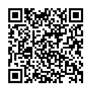 长期接受着宇宙中充满杂质的灵气和各种诡异的射线二维码生成