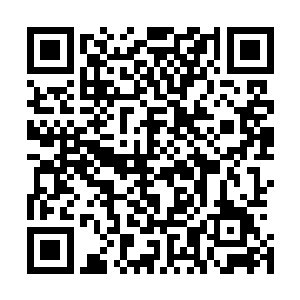 长生和元辰夕因为建木里面那东西的一声吼给吼晕了还没醒二维码生成