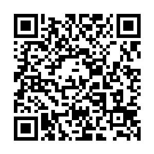 长生灯塔这个最顶层的长生灯位那是对外售价八位数的二维码生成