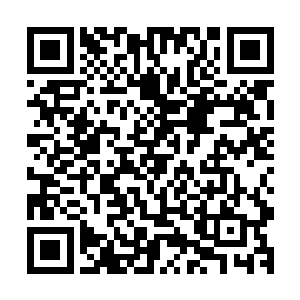 长长的睫毛像是一把淡黄色的小扇子般把它的下眼睑给遮掩住二维码生成