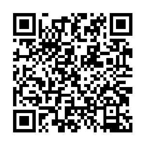 长长的跟尾巴似的人群带到苏靖宇的乾坤院去了二维码生成