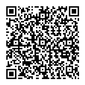 门口的铃铛发出悦耳的清脆响声提醒店主又有客人来了――虽然对怕猫的他来说妮娜着实是个二维码生成