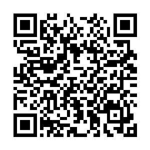 门口站着十余个服饰统一的蒙克族男守卫分裂两排把守二维码生成