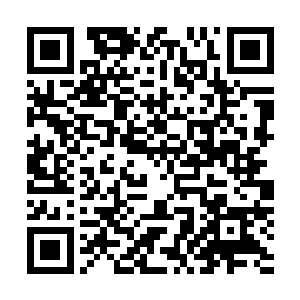 问题是他为什么要把如此手段使用在这么一片平凡的土地上二维码生成