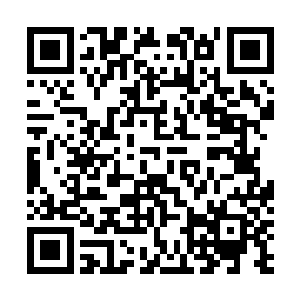 闵谌是真的慌了才会让一个已经睡了一整天的她继续休息二维码生成