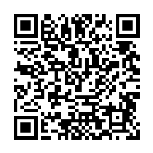 闻到了结界外面那几乎被抹除干净的小厨娘气息二维码生成