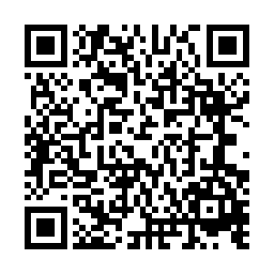 闻朝青和金氏原本都担心着曾家小姐会瞧不上自家的家境二维码生成