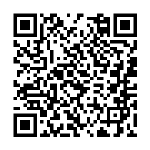 阁下莫非是天荒族安排在天荒平原边界的巡逻人员二维码生成