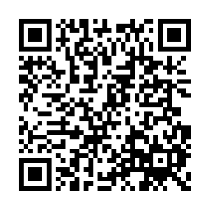 队伍中实力最低的人倒是有点先支撑不住的迹象二维码生成