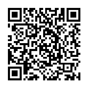 阮荷黎率先把接到的重要客人通过后面的小门送了进去二维码生成