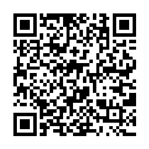 阮荷黎见他偷偷地将餐厅里的每一桌客人都瞟了一遍二维码生成