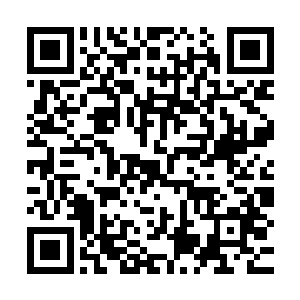防御又怎么可能挡得住楚旬这几乎已经超过了6阶极限的力量呢二维码生成