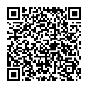 阳姐儿你别这样……你外祖母若是看到你这个样子定然也是会心疼的二维码生成