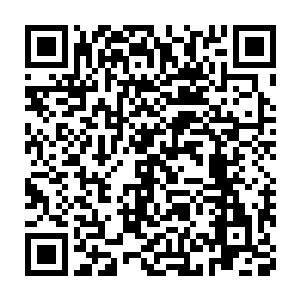 阵阵剧痛还在不停的折磨着他这个从小到大都没有受过伤的大少爷二维码生成