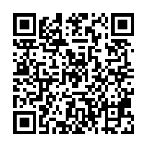 阿尔法是目前为数不多还敢跟我们接触的军火商二维码生成