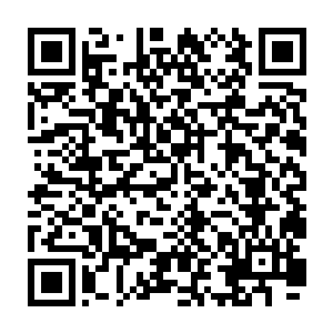 阿米和娜丽丝将风云佣兵团在血色监狱周边的安排部署也是一一的告诉了苏凡二维码生成