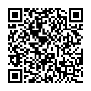 阿红用了同语叶后已经能听懂看懂巨人的语言和文字二维码生成