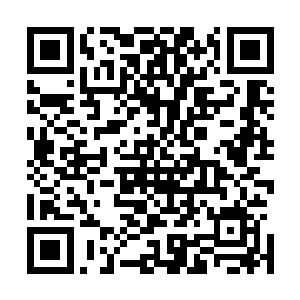 陆为民也在说像宋州这样人烟稠密的地方怎么可能有野茶树二维码生成