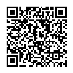陆为民也很久没有在这样的场合里自由自在的行动了二维码生成