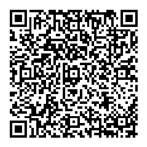 陆为民代表的中联部与中央政研室一行人要参观友谊学校和埃塞俄比亚农业技术示范中心以及埃革阵的两个基层组织二维码生成
