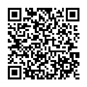 陆为民和秦宝华也都知道这个项目目前宋州方面占据着一定优势二维码生成
