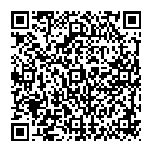 陆为民在担任县委副书记兼任洼崮区委书记这么短时间里就能以绝才惊艳的表现全县干部们只能用艳羡的目光仰视二维码生成
