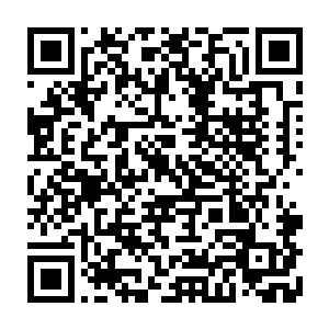 陆为民对宋大成和蒲燕两人的观念在自己的影响下变得如此激进也有些意外二维码生成