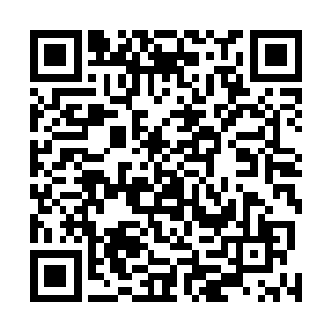 陆为民对林钧和朱小平主导的人事调整总体方案不太满意二维码生成