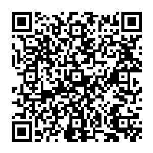 陆为民没有指望昌江的农业能够一步登天达到以色列或者日本那样的农业精细化程度二维码生成